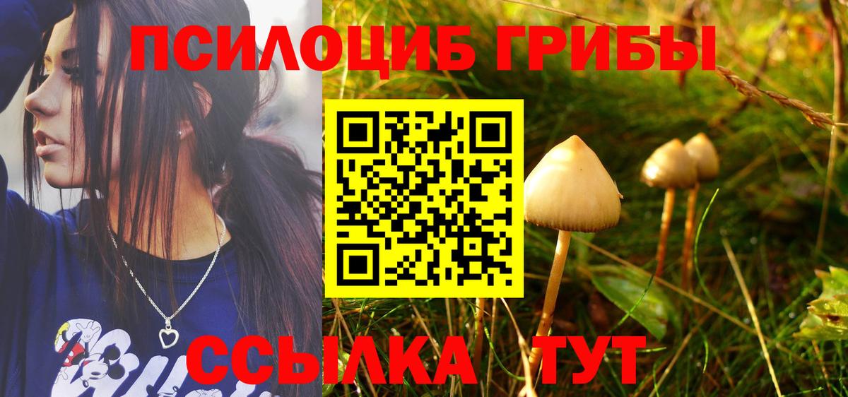 Псилоцибиновые грибы мухоморы  Галлюциногенные грибы Magic Shrooms  Отрадный  Вход с VPN 